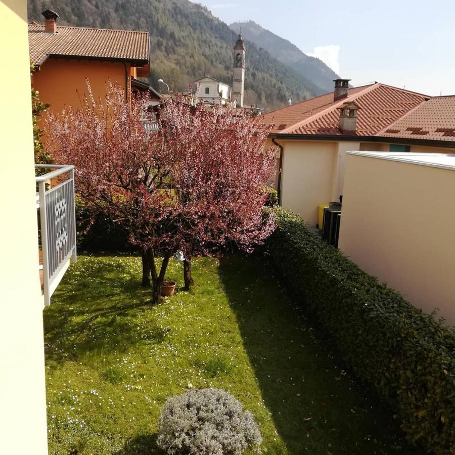 La Moia Bed and Breakfast Cerete Exteriör bild